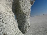 Burningman_0105