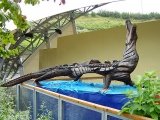 Crocodile_-_geograph.org.uk_-_65591
