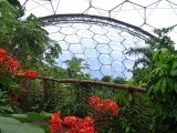 Eden_project3
