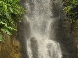 Waterfall_in_tropical_biome,_Eden_Project