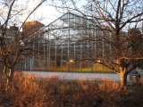farquharson_life_sciences_greenhouse