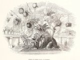 epiphyte_house_at_knypersley-mex-_1837