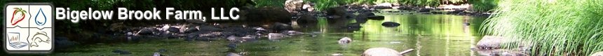 bigelow_banner