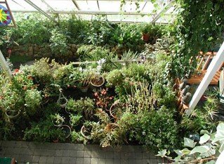 cape_cod_ark_hanbook_10