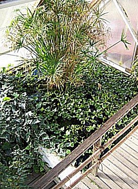 cape_cod_ark_hanbook_24