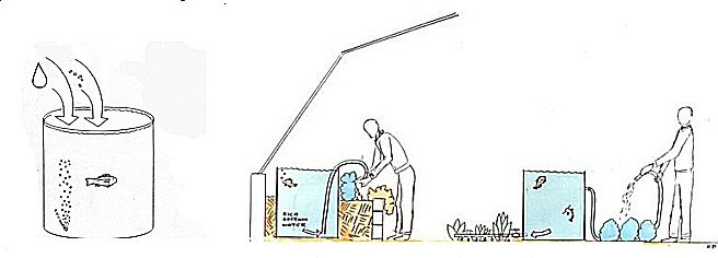 cape_cod_ark_hanbook_27