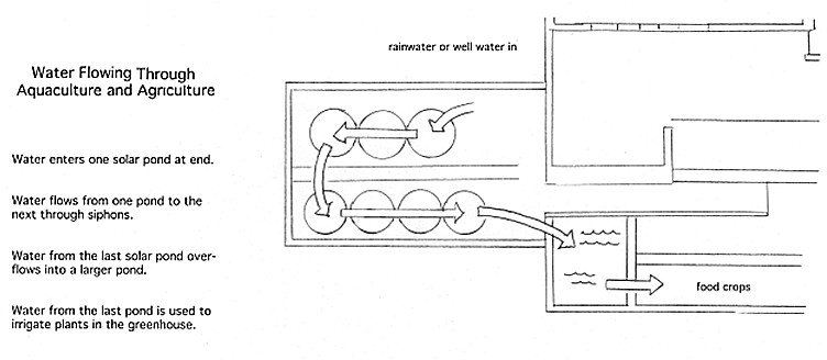 cape_cod_ark_hanbook_28