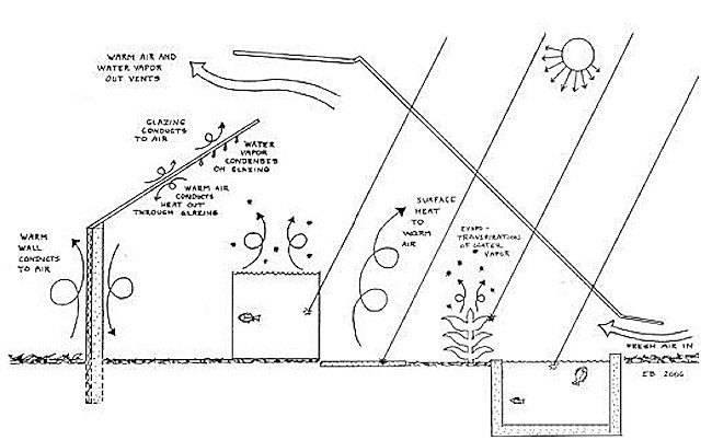 cape_cod_ark_hanbook_30