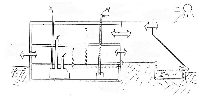 cape_cod_ark_hanbook_33