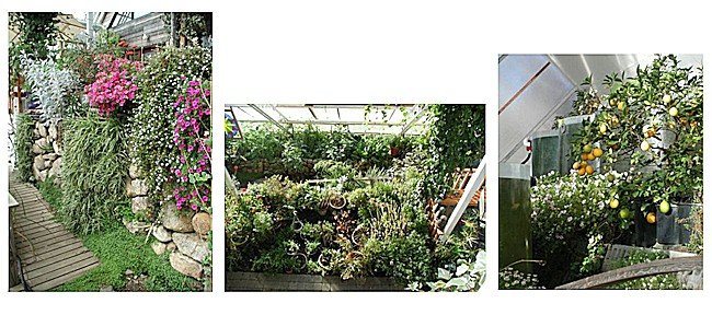 cape_cod_ark_hanbook_4