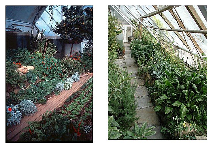 cape_cod_ark_hanbook_7