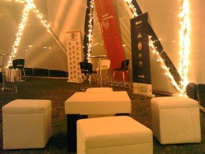 geodesic_dome_zimbabwe_403