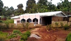 culture_climate_materials_image10