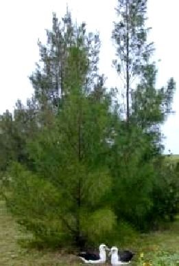 culture_climate_materials_image27