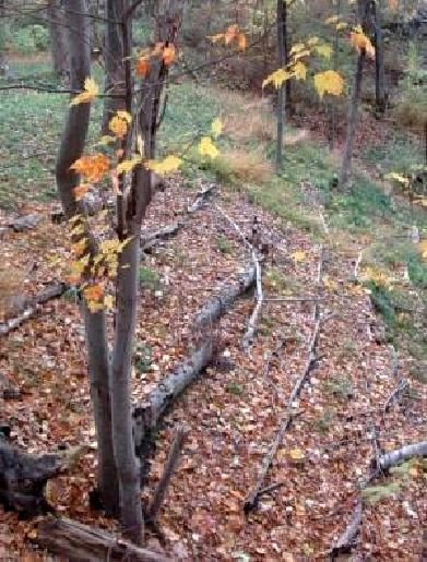 culture_climate_materials_image29