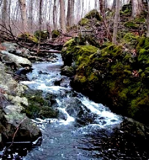 culture_climate_materials_image30