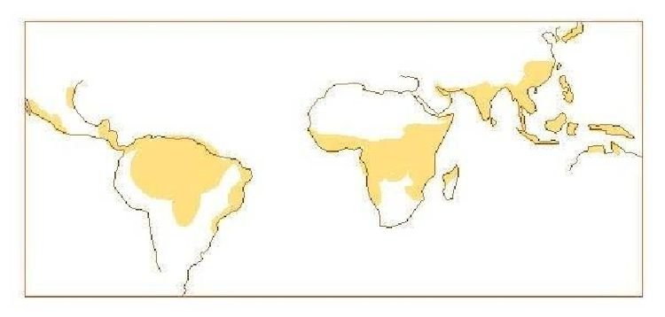 culture_climate_materials_image4