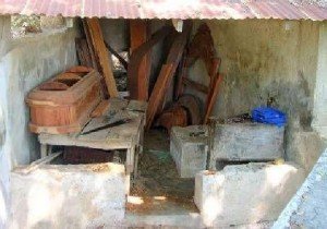 haitian_wisdom_1_image13