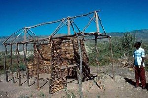 haitian_wisdom_1_image31