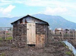 haitian_wisdom_1_image41