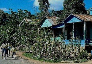 haitian_wisdom_1_image55