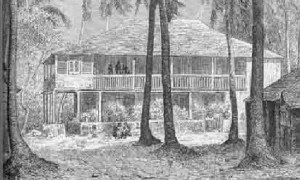 haitian_wisdom_1_image69