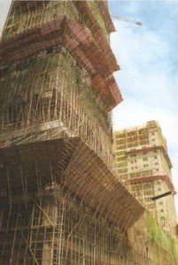 Bamboo canes used for scaffoldings