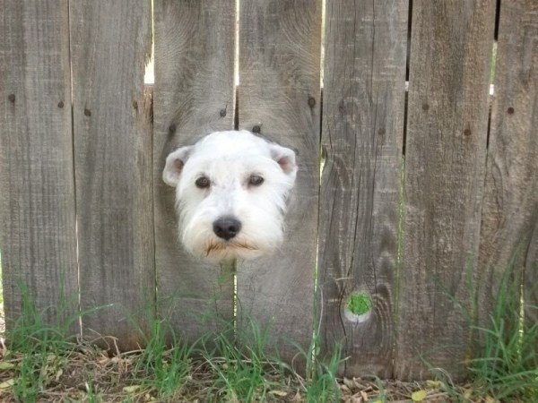 BirneysDeparture012-2